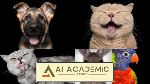 چگونه کسب و کار عکاسی خود را رونق دهیم؟