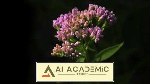 نقاشی با نور: ماکرو، مدل‌ها و پرتره در لوکیشن‌های فضای باز