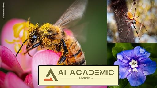 بررسی عکاسی ماکرو از ابتدا تا انتها