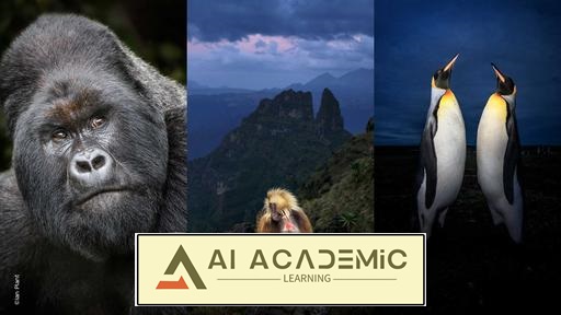 تکنیک‌های عکاسی هنری از حیات‌وحش