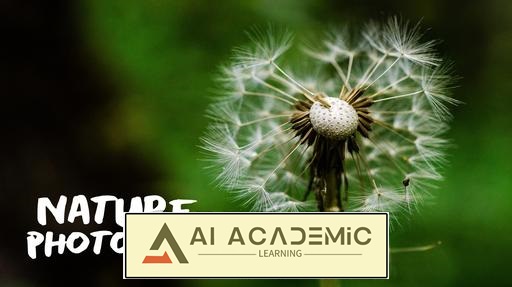 عکاسی از طبیعت: تجدید انرژی و لذت بردن از فضای باز