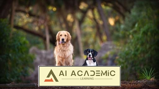 عکاسی از سگ‌ها: غلبه بر موقعیت‌های چالش‌برانگیز