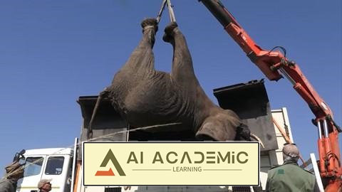 داروی دامپزشکی فیل آفریقایی