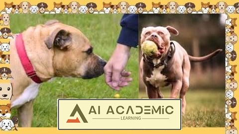 راهنمای جامع مراقبت از سگ: چالش‌های نگهداری از سگتان را حل کنید