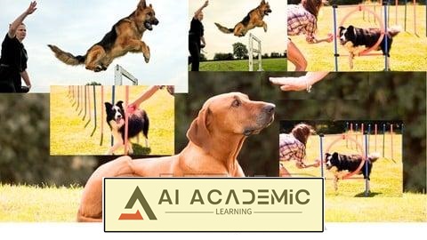 آموزش کامل تربیت سگ - یک راهنمای عملی برای دوستداران سگ