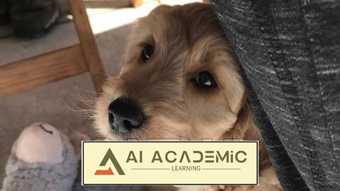 تقویت اعتماد به نفس برای سگ محتاط