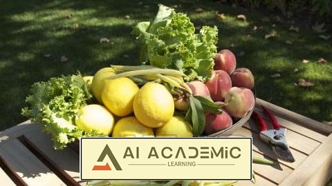 باغچه سبزیجات: چگونه در خانه غذای سالم و تازه پرورش دهیم؟