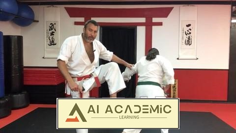 تجزیه موشکافانه ایشین ریو کاراته - بونکای لگد