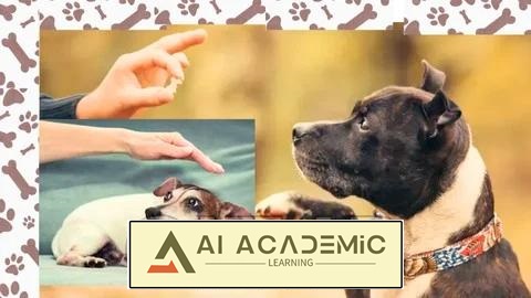 آموزش اطاعت و راهنمای مراقبت از سگ: از مبتدی تا پیشرفته