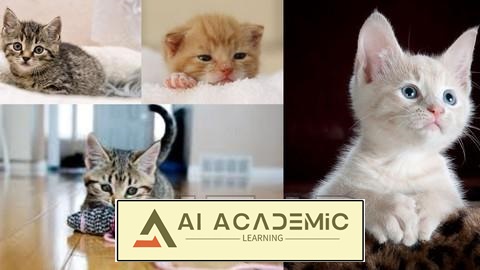 باشگاه درجه یک بچه گربه‌ها