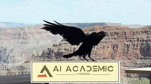 اولین قدم‌ها در مدیریت: یک راهنمای عملی