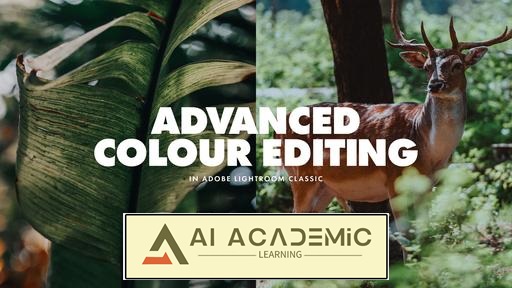 آموزش Adobe Lightroom Classic - گردش‌کار پیشرفته و نکاتی برای بهبود ویرایش رنگی‌