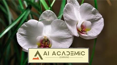 گواهینامه کل نگر و تخصصی ضربه تراپی با تکنیک EFT