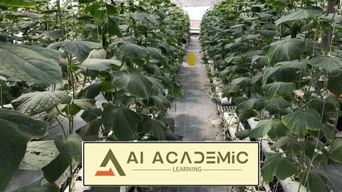 هیدروپونیک 101: دستورالعمل مواد مغذی و محلول‌پاشی برگی خیار