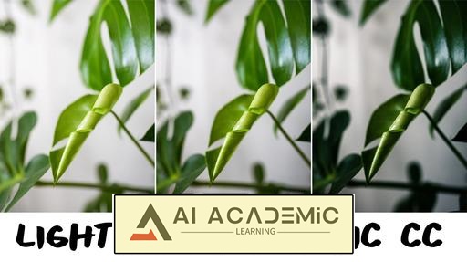 ویرایش عکس در Adobe Photoshop Lightroom: راهنمای مبتدی