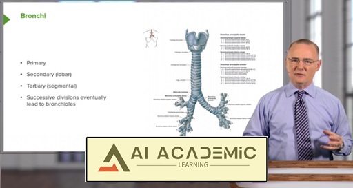 دیواره شکمی با دکتر کنبی