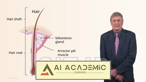 تومورهای آدنکس پوست