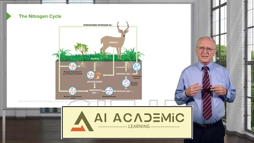 متابولیسم آمینو اسید