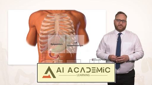 آناتومی مری و معده