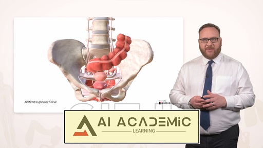 آناتومی دستگاه تولیدمثل زنانه