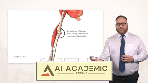 آناتومی ساعد