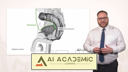 آناتومی دستگاه تناسلی مردان