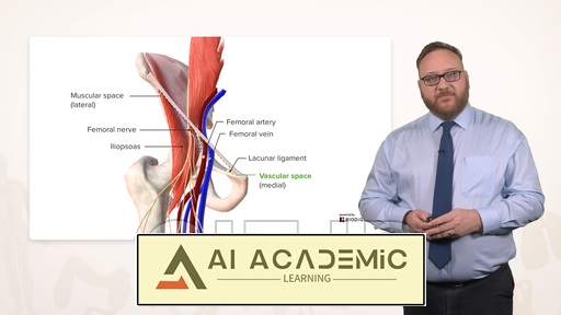 آناتومی ران