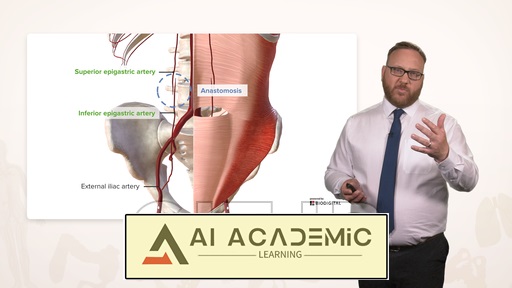 دیواره قدامی-جانبی شکم