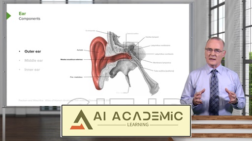 سیستم شنوایی و سیستم دهلیزی