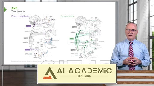 سیستم عصبی خودکار (ANS)