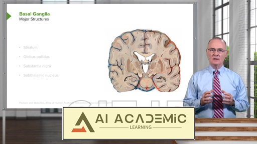 عقده‌های قاعده‌ای