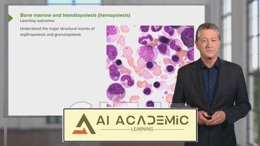 مغز استخوان