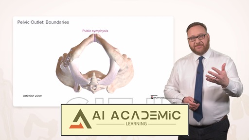 استخوان لگنی و دیافراگم لگنی