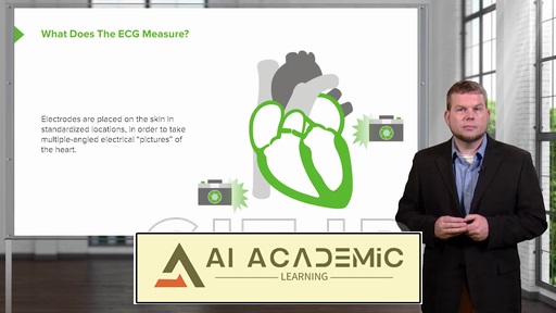 فیزیولوژی قلب و عروق