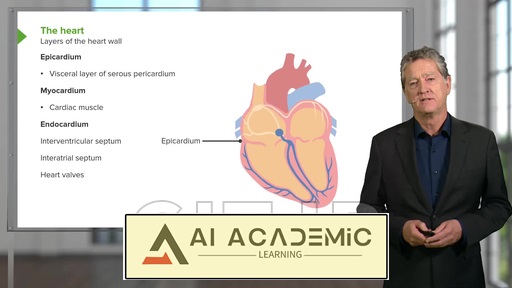 بافت‌شناسی قلب و عروق