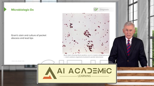 عفونت‌های قلبی-عروقی