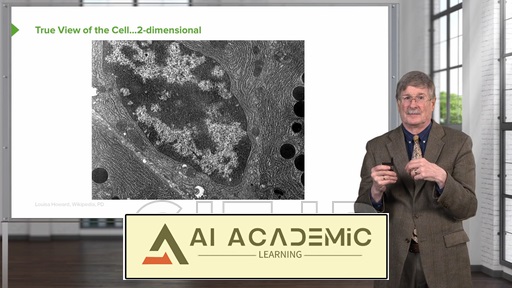 عملکرد Housekeeping سلولی