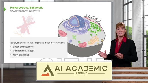 آموزش ساختار سلولی