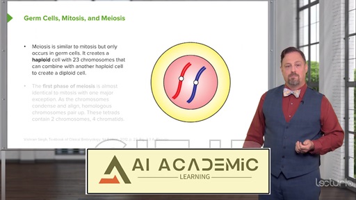 لقاح، لانه‌گزینی و رشد جنین