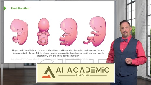 رشد سیستم اسکلتی-عضلانی و پوست