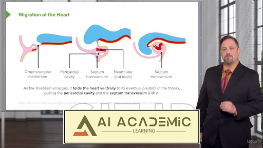 رشد ناحیه قفسه سینه و بافت آوندی