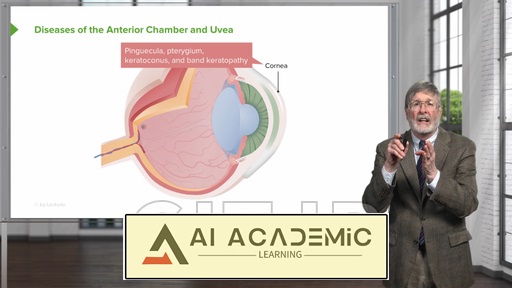 بیماری‌های اتاقک قدامی چشم و یووه‌آ