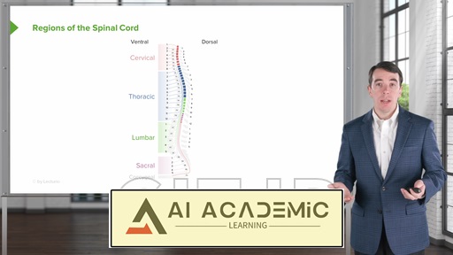 بیماری‌های طناب نخاعی