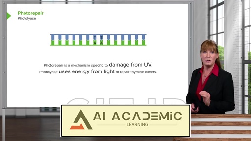 ترمیم DNA و جهش‌های ژنتیکی