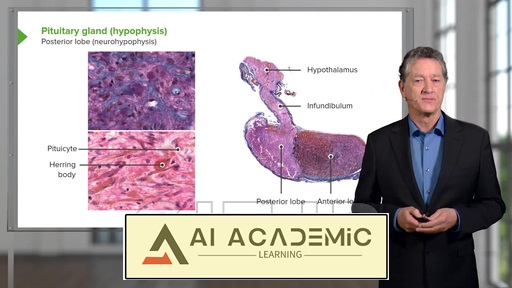 بافت‌شناسی غدد درون‌ریز