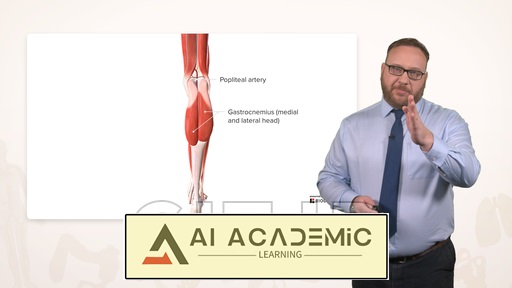 نیام و سیستم عصبی-عروقی اندام تحتانی