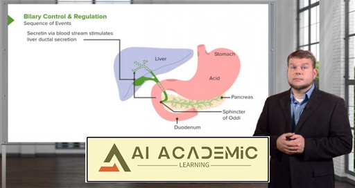 فیزیولوژی دستگاه گوارش