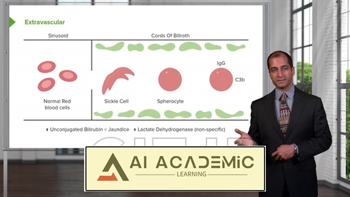 کم‌خونی همولیتیک - آسیب‌شناسی گلبول قرمز (RBC)