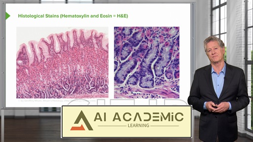 تکنیک‌های بافت‌شناسی و رنگ‌آمیزی