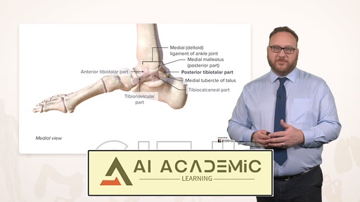 مفاصل اندام تحتانی